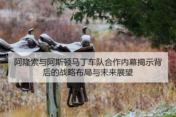 a-long-suo-yu-a-si-dun-ma-ding-che-dui-he-zuo-nei-mu-jie-shi-bei-hou-de-zhan-lve-bu-ju-yu-wei-lai-zhan-wang-2-635.jpg